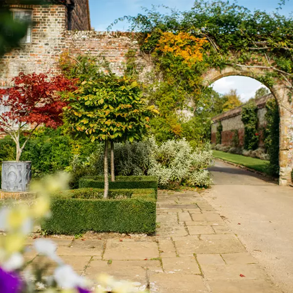 Penshurst Place 800X800